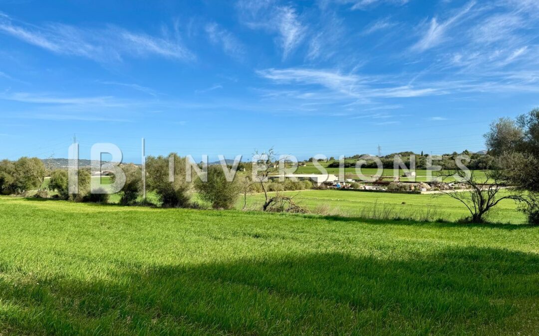 Rustic land for sale in Es Bessons, Manacor